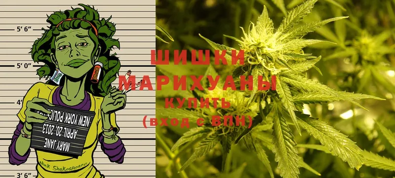 Бошки марихуана Ganja  Лагань 